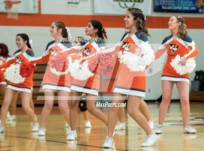 Thumbnail 3 in Inderkum @ Woodland photogallery.