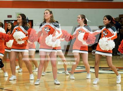 Thumbnail 3 in Inderkum @ Woodland photogallery.