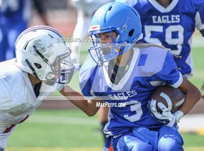 Thumbnail 2 in Fremont @ Los Altos photogallery.