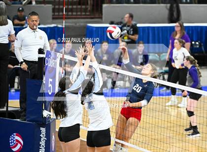 Thumbnail 1 in Chaparral vs. Pueblo West (CHSAA 5A 1st Round) photogallery.