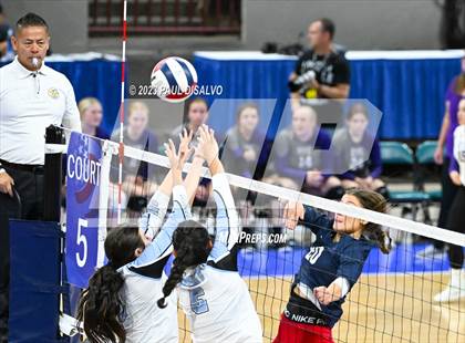 Thumbnail 2 in Chaparral vs. Pueblo West (CHSAA 5A 1st Round) photogallery.