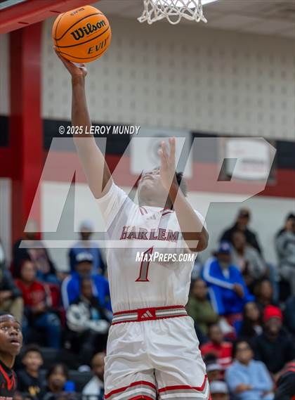 Thumbnail 3 in Baldwin @ Harlem photogallery.