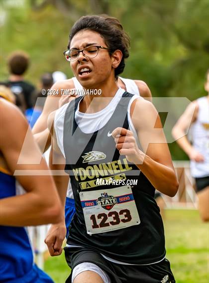 Thumbnail 1 in UIL 1A Boys Cross Country Finals photogallery.