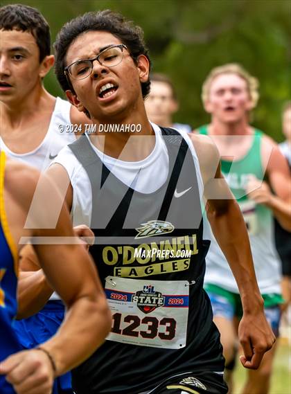 Thumbnail 3 in UIL 1A Boys Cross Country Finals photogallery.
