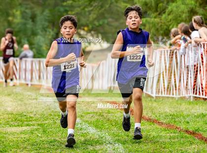 Thumbnail 1 in UIL 1A Boys Cross Country Finals photogallery.