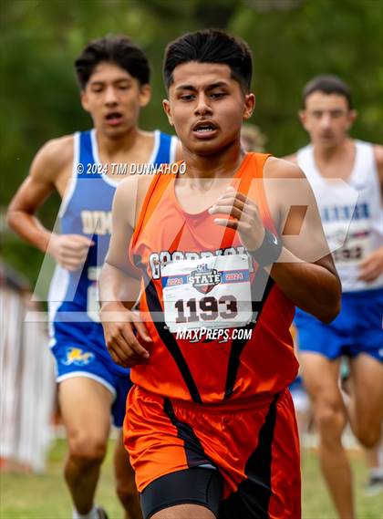 Thumbnail 1 in UIL 1A Boys Cross Country Finals photogallery.