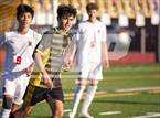 Photo from the gallery "Redwood @ Novato"