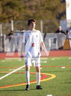 Photo from the gallery "Redwood @ Novato"