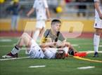Photo from the gallery "Redwood @ Novato"