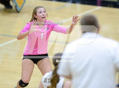 Thumbnail 3 in Montgomery @ Olympian photogallery.