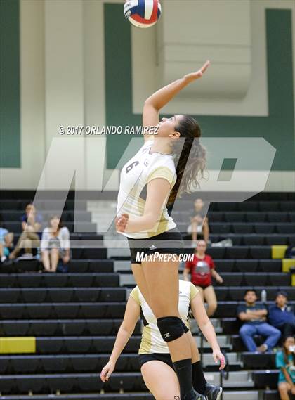 Thumbnail 3 in Montgomery @ Olympian photogallery.