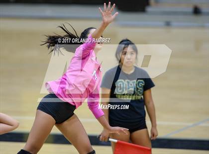 Thumbnail 1 in Montgomery @ Olympian photogallery.
