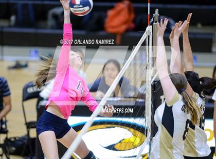 Thumbnail 1 in Montgomery @ Olympian photogallery.