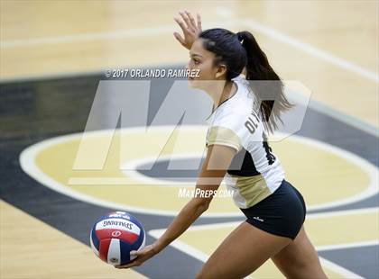 Thumbnail 3 in Montgomery @ Olympian photogallery.