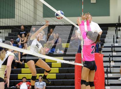 Thumbnail 3 in Montgomery @ Olympian photogallery.