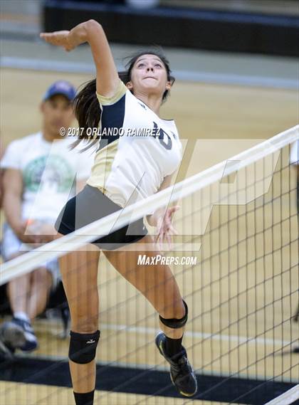 Thumbnail 2 in Montgomery @ Olympian photogallery.