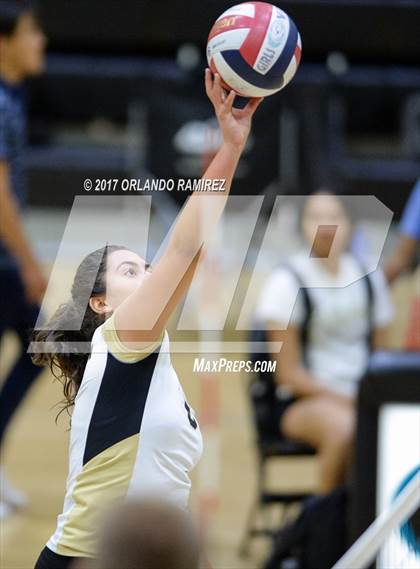 Thumbnail 3 in Montgomery @ Olympian photogallery.
