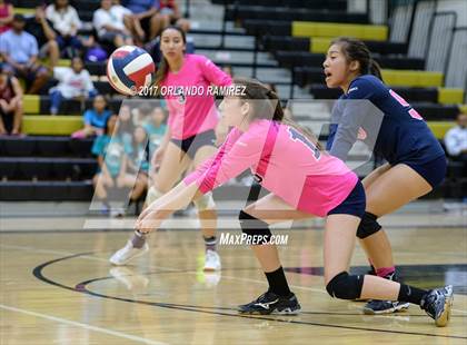 Thumbnail 3 in Montgomery @ Olympian photogallery.