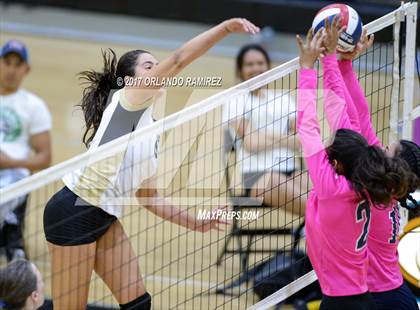 Thumbnail 1 in Montgomery @ Olympian photogallery.