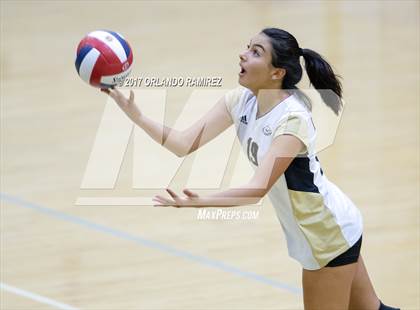 Thumbnail 1 in Montgomery @ Olympian photogallery.