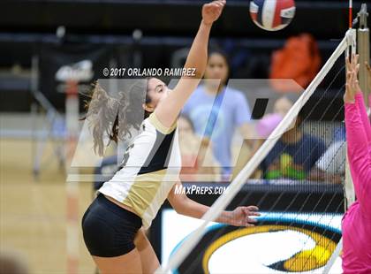 Thumbnail 3 in Montgomery @ Olympian photogallery.