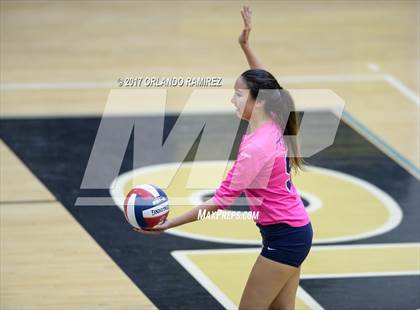 Thumbnail 3 in Montgomery @ Olympian photogallery.