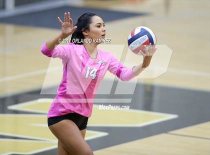 Thumbnail 3 in Montgomery @ Olympian photogallery.