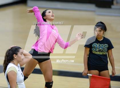 Thumbnail 3 in Montgomery @ Olympian photogallery.