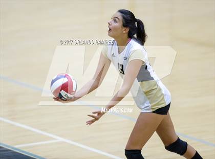Thumbnail 3 in Montgomery @ Olympian photogallery.