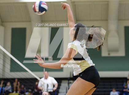 Thumbnail 3 in Montgomery @ Olympian photogallery.