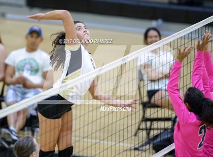 Thumbnail 3 in Montgomery @ Olympian photogallery.