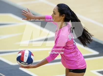 Thumbnail 3 in Montgomery @ Olympian photogallery.