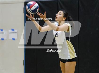 Thumbnail 3 in Montgomery @ Olympian photogallery.