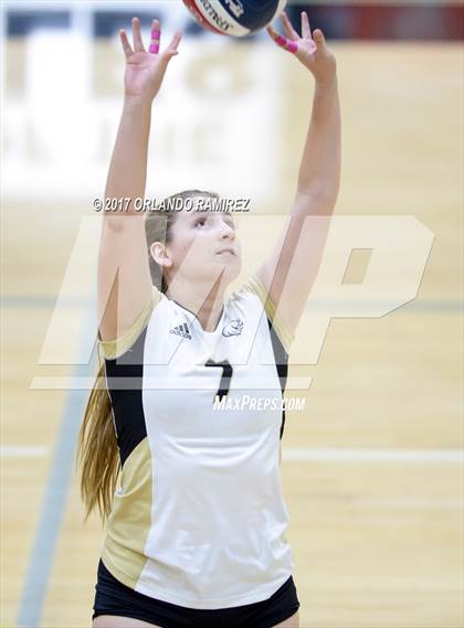Thumbnail 1 in Montgomery @ Olympian photogallery.