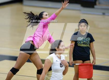 Thumbnail 2 in Montgomery @ Olympian photogallery.