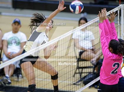 Thumbnail 3 in Montgomery @ Olympian photogallery.