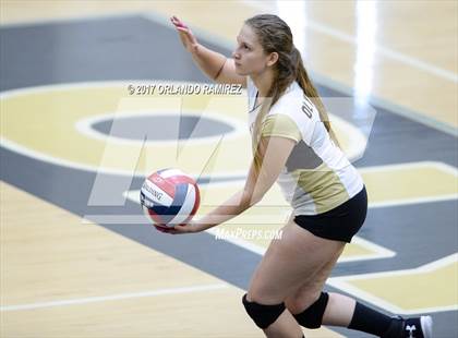 Thumbnail 3 in Montgomery @ Olympian photogallery.
