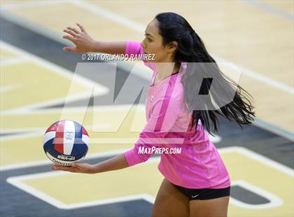 Thumbnail 2 in Montgomery @ Olympian photogallery.