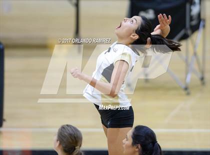 Thumbnail 1 in Montgomery @ Olympian photogallery.