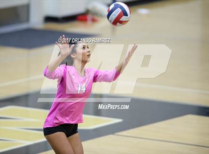 Thumbnail 1 in Montgomery @ Olympian photogallery.