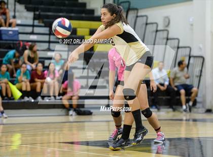 Thumbnail 3 in Montgomery @ Olympian photogallery.