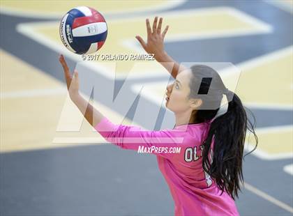 Thumbnail 1 in Montgomery @ Olympian photogallery.