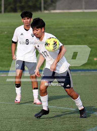 null - Photo 21