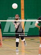 Photo from the gallery "Florin @ Kennedy"