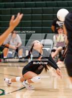 Photo from the gallery "Florin @ Kennedy"