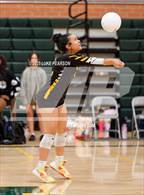 Photo from the gallery "Florin @ Kennedy"