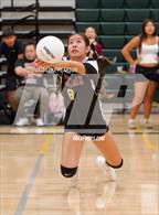 Photo from the gallery "Florin @ Kennedy"