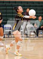 Photo from the gallery "Florin @ Kennedy"