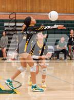 Photo from the gallery "Florin @ Kennedy"