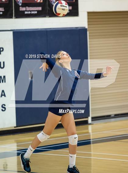 Thumbnail 3 in Hamilton vs Perry photogallery.